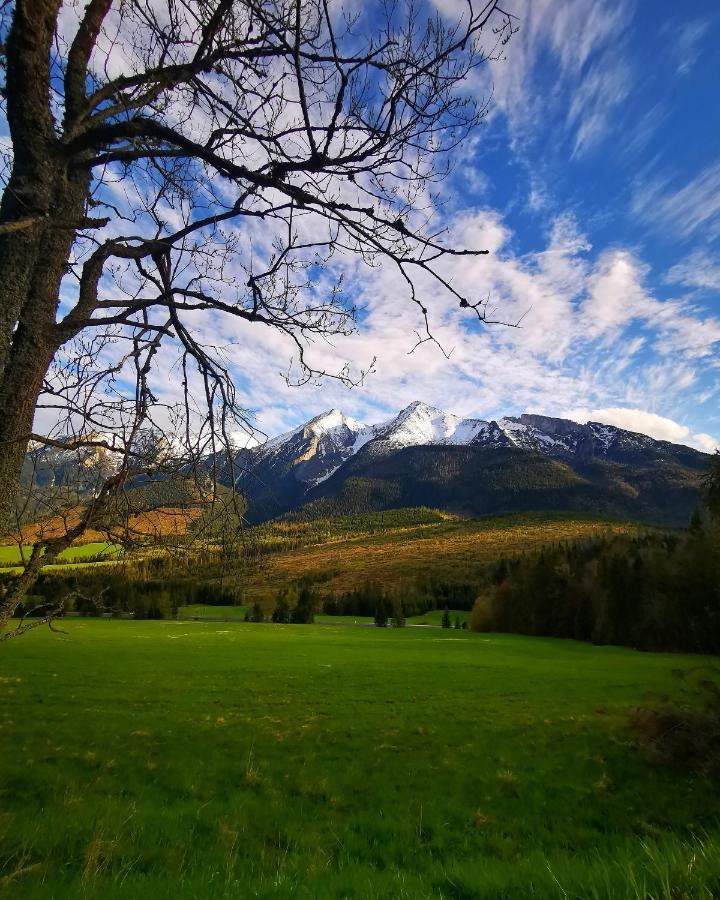 Chalupka U Lisky Elisky Villa Ždiar Dış mekan fotoğraf